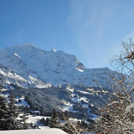 Studio Chalet Silence By Interhome Wengen Exterior photo